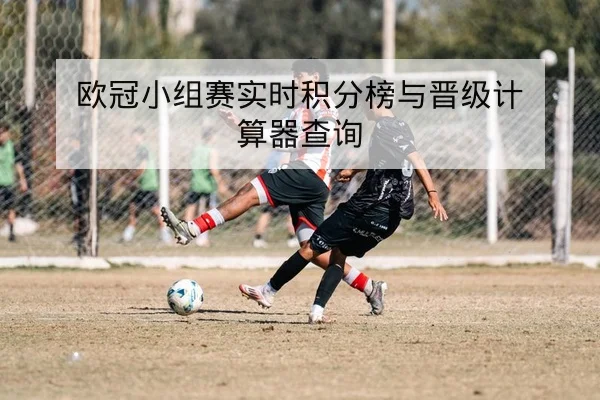英超赛前首发与伤停名单查询